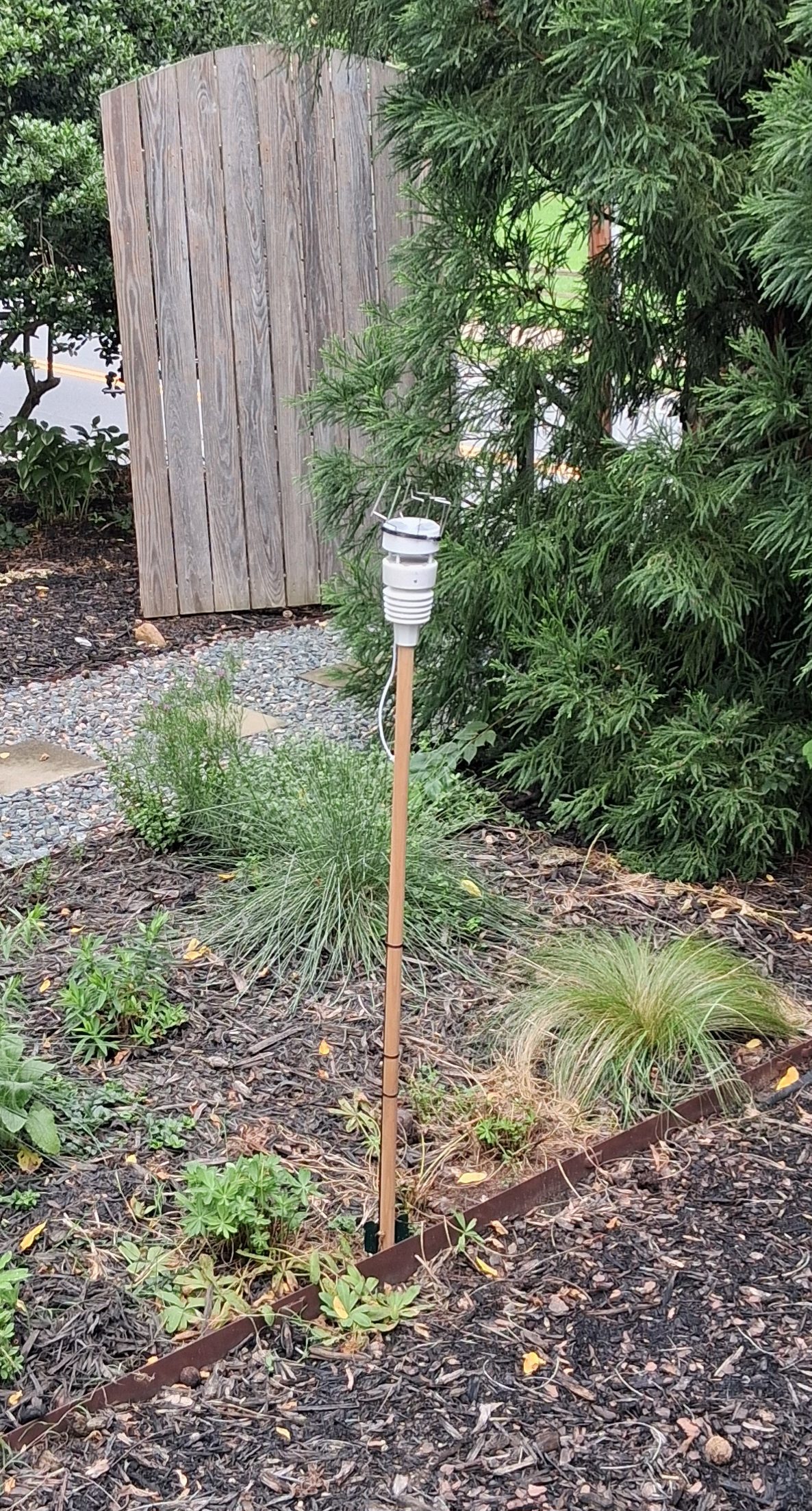 WittBoy weather station installed in the yard