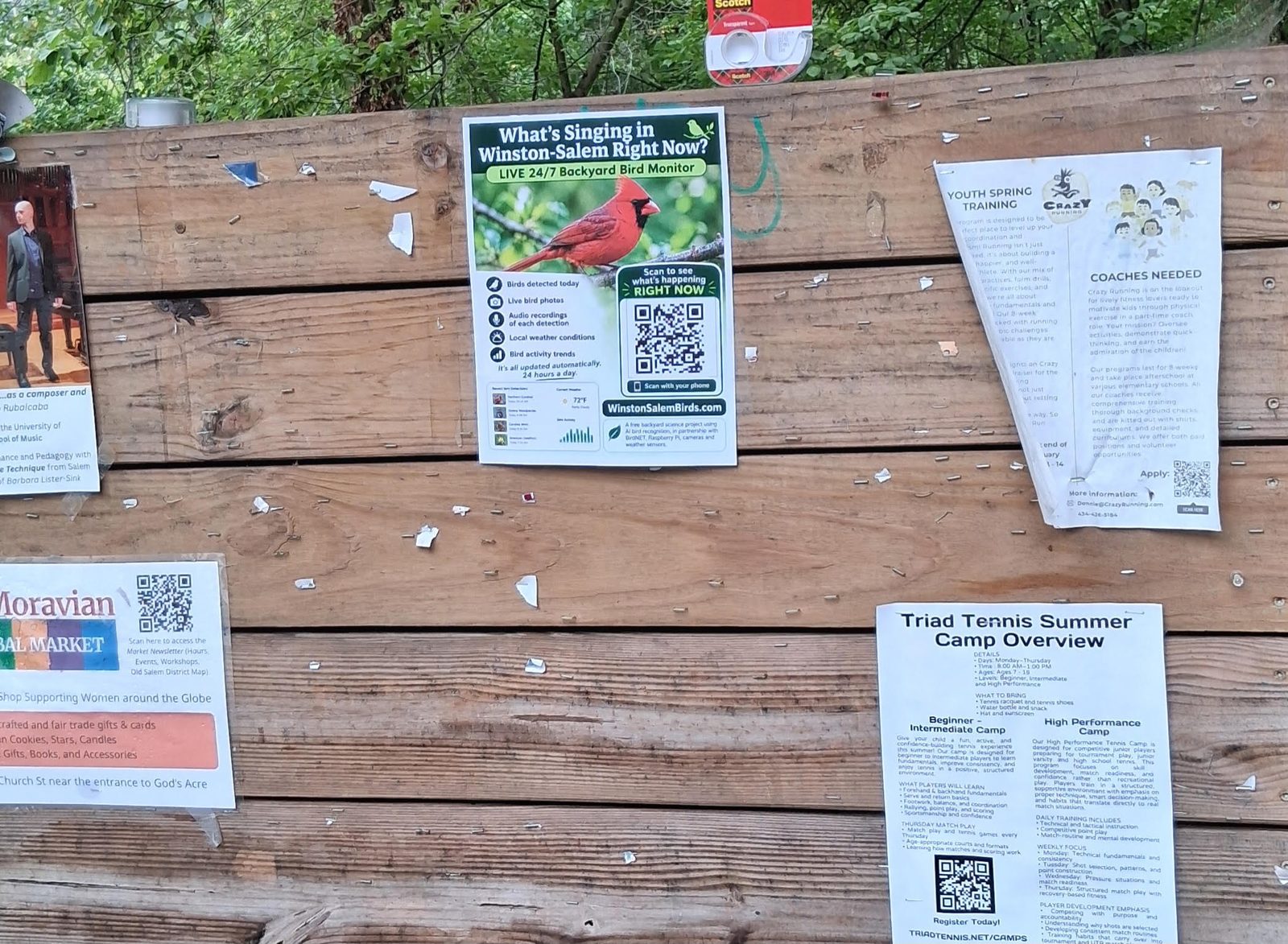 DIY marketing poster for the bird station